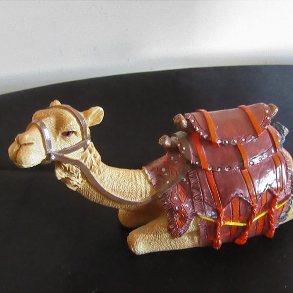 Camel good shape - Picture 5 of 11